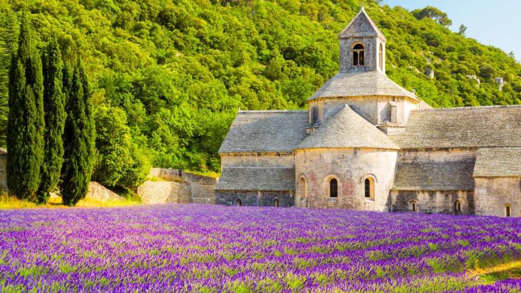 bicycle trips in Provence